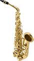 SelmerSAS280 La Voix II Alto Saxophone Outfit