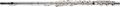 BrioB20 Series Intermediate Flute