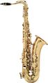 Barrington Model 301 Student Alto Saxophone