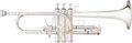 B&SChallenger II Eb/D Trumpet
