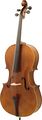 BellafinaModel 510 Cello Outfit