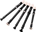 TudorConsort Recorders