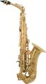 Amati33 Series Student Alto Saxophone