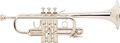 BachD180 Stradivarius Series D Trumpet