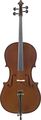 Josef LazarModel 44 Cello Outfit
