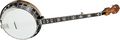 Gold ToneOB-250 Banjo