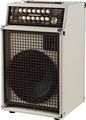 SWR California Blonde II Acoustic Instrument Amp