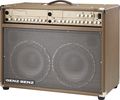 Genz-Benz Shenandoah Series Shen 300 LT 300W 2x10 Acoustic Guitar Combo Amp Brown