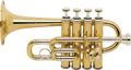 Bach196 Stradivarius Series Bb/A Piccolo Trumpet