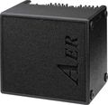 AERDomino 2x60W 2x8 Acoustic Guitar Combo Amp