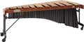 DynastySignature Mark Ford Marimba Signature Frame