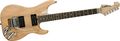 Washburn Nuno Series N4 Vintage Electric Guitar VINTAGE