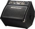 TraynorK1 Keyboard Combo Amp