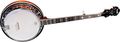 FenderFB-55 Banjo