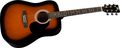 RogueRA-100D Dreadnought Acoustic Guitar