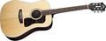 GuildD40 Richie Havens Signature Dreadnought Acoustic Guitar With Case