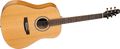 SeagullCedar Slim Acoustic Dreadnought
