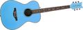 Daisy RockPixie Acoustic Guitar