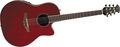 OvationCelebrity CC24 Acoustic-Electric Guitar