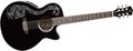Luna GuitarsFauna Dragon Folk Acoustic-Electric Guitar
