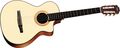 TaylorNS32-CE Nylon String Grand Concert Cutaway Acoustic-Electric Guitar