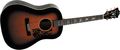 BlueridgeBG-160 Contemporary Series Slope Shoulder Dreadnought Acoustic Guitar
