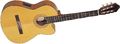 WashburnC64SCE Classical Guitar
