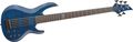 ESPLTD B-155DX 5-String Bass Guitar