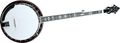 Recording KingRK-R80 Professional Banjo