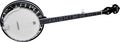 WashburnB14 5-String Banjo w/case
