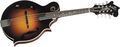 F-5G Mandolin