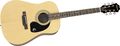 EpiphoneDR-100 Acoustic Guitar