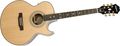 EpiphonePR5-E Acoustic-Electric Guitar