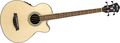 IbanezAEB10E Acoustic-Electric Bass Guitar with Onboard Tuner