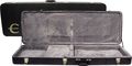 EXBCS Explorer Bass Case
