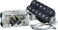 EVHFrankenstein Relic Humbucker LTD (Signed)