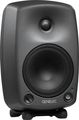 Genelec8030A Bi-Amplified Monitor System