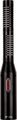 RoyerSF-24 LIVE Active Ribbon Mic