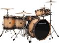 Ludwig Epic 6-Piece Pro Beat Shell Pack with Vintage Bronze Rims & Lugs