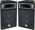 NadyPTS1015 2-Way 15" Horn 400W Trapezoid Pair
