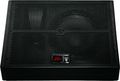 PeaveySP 12M 12" Monitor Speaker