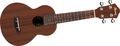 IbanezUKC10 Concert Ukulele with Bag