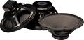Fender12" Standard Replacement Speaker