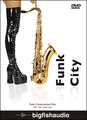 Big FishFunk City Audio Loops