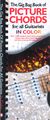 AmscoThe Gig Bag Book of Picture Chords for all Guitarists in Color Book