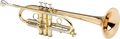 FidesFTR-8015L Symphony Heavy Series C Trumpet