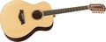 TaylorAcoustic Series GS8-12 Grand Symphony 12-String Acoustic Guitar