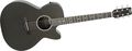 RainsongHybrid Series H-WS1000N2 Deep Body Cutaway Acoustic-Electric Guitar