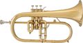 BlessingBFH-1540T Artist Series Bb Flugelhorn
