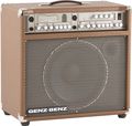 Genz-BenzShenandoah Series Shen ProLT 300W 1x12 Acoustic Guitar Combo Amp